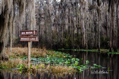 Okefenokee Swamp Sign Picture