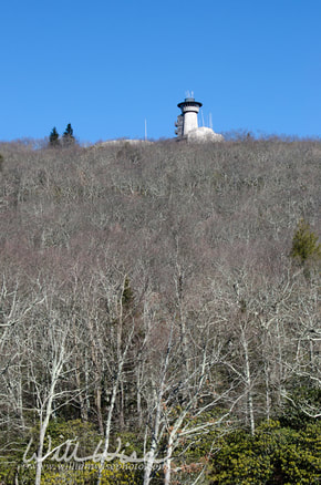 Brasstown Bald North Georgia Mountains Picture